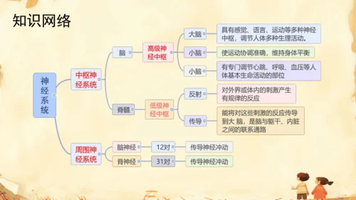 初中生物学人教版（新课程标准）七年级下册4.6.2 神经系统的组成课件(共18张PPT)