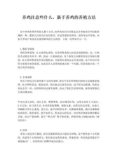 养鸡注意些什么，新手养鸡的养殖方法