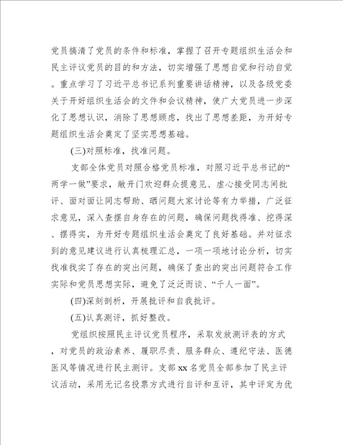 党支部组织生活会工作总结