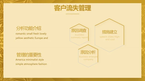 尊贵奢华创业融资计划书动态PPT