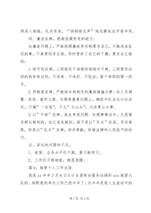 城管执法个人工作总结.docx