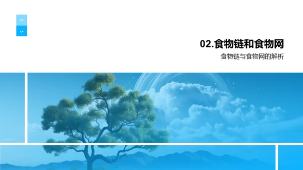 探索生态系统
