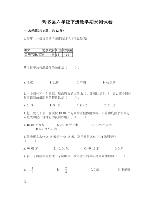 玛多县六年级下册数学期末测试卷推荐.docx