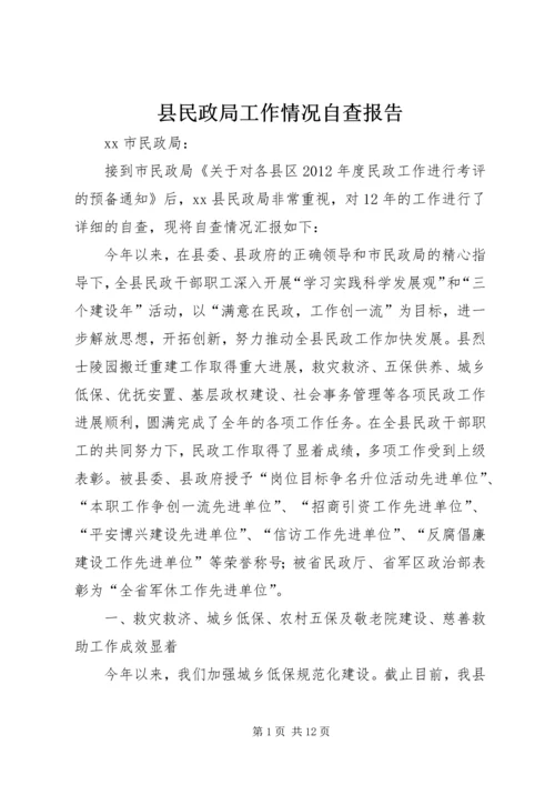 县民政局工作情况自查报告 (3).docx