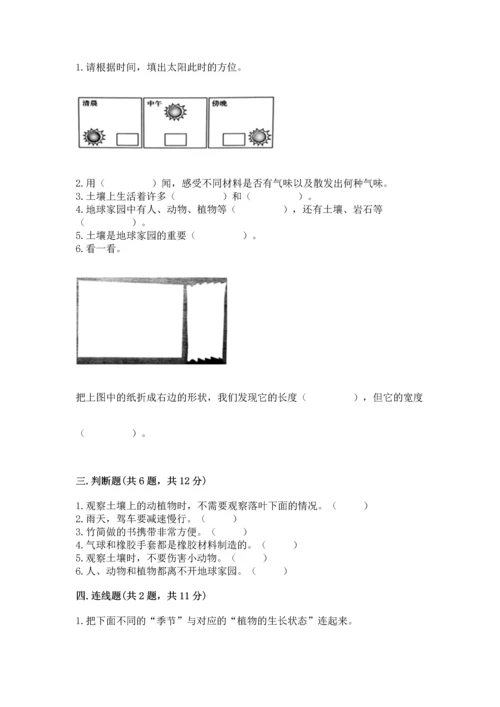 教科版二年级上册科学期末测试卷加解析答案.docx