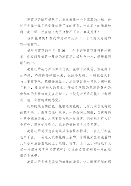 描写凌霄花的作文.docx