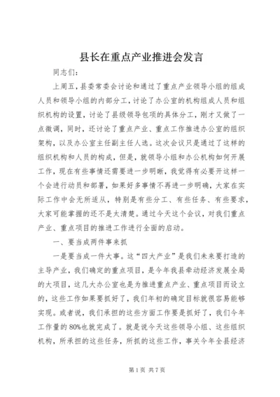 县长在重点产业推进会发言.docx