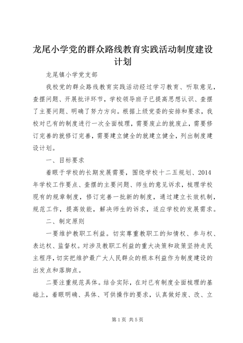 龙尾小学党的群众路线教育实践活动制度建设计划.docx