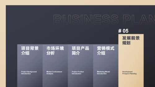 黑色商务范商业计划书通用PPT模板