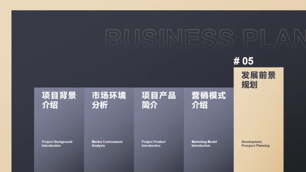 黑色商务范商业计划书通用PPT模板
