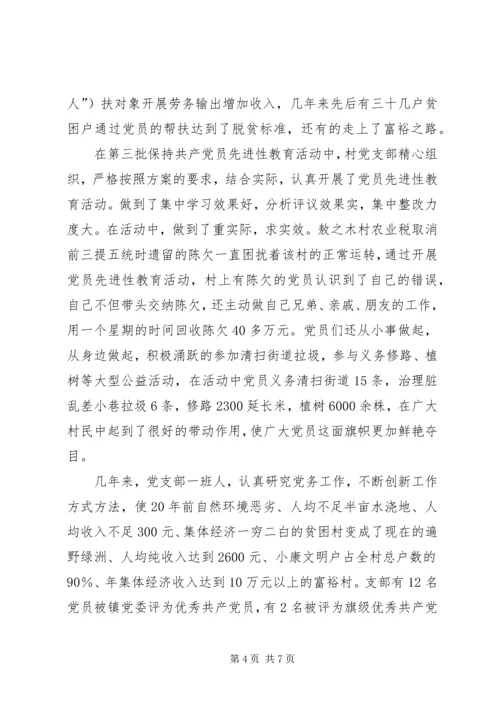 村党支部经验材料 (5).docx