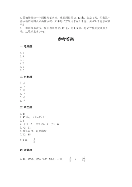 石家庄市辛集市六年级下册数学期末测试卷一套.docx