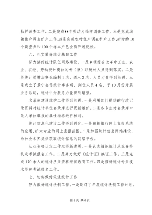 县统计工作成效年终汇报小结.docx