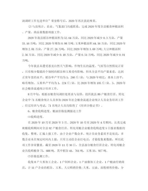 精编之统计员年度工作总结范文.docx