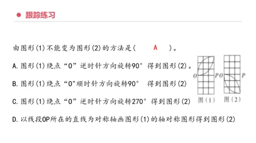 专题五：图形的运动（三）复习课件(共25张PPT)五年级数学下学期期末核心考点集训（人教版）