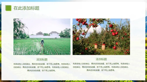 乡村振兴精准扶贫，特色农业项目计划书通用PPT模板