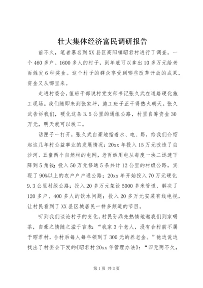 壮大集体经济富民调研报告 (3).docx