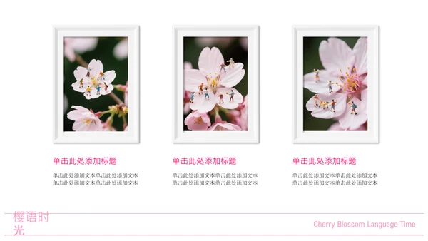 粉白色简约风城市樱花节PPT模板