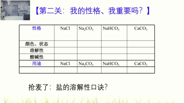 人教版九年级化学下册第十一单元 盐 化肥复习课件(共23张PPT)