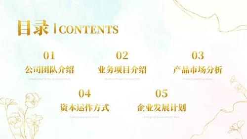 小清新风鎏金线条花卉美容医美行业招商项目汇报医美商业计划书