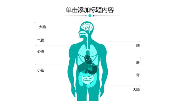 简约医生医疗医学类通用医院宣传PPT模板