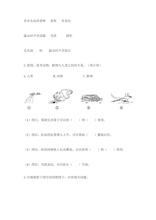 教科版二年级上册科学期末测试卷及参考答案【夺分金卷】.docx