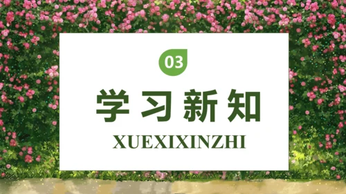 【核心素养】部编版语文三年级下册-13. 花钟 第2课时（课件）