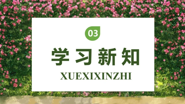 【核心素养】部编版语文三年级下册-13. 花钟 第2课时（课件）