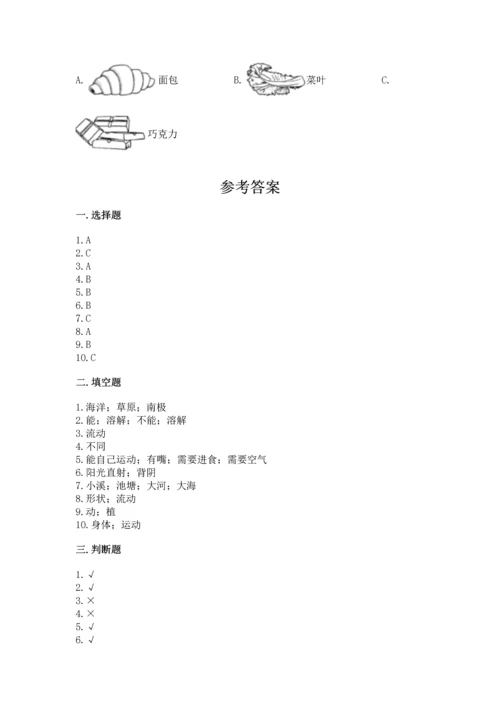 教科版一年级下册科学期末测试卷附答案（考试直接用）.docx
