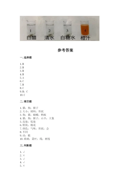 教科版一年级下册科学期末测试卷含下载答案.docx