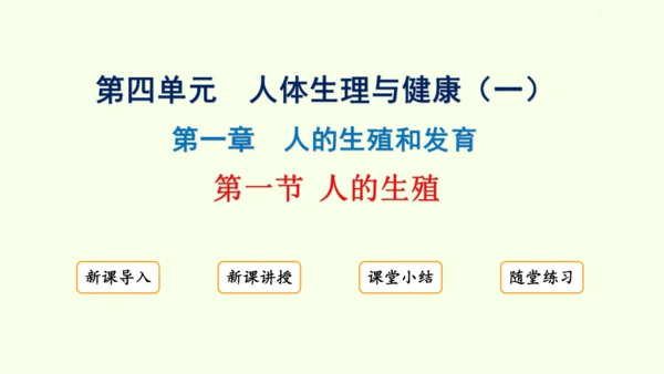 4.1.1人的生殖-七年级生物下学期同步精品课件（2024人教版）(共24张PPT)