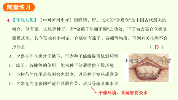 3.2.3呼吸作用-七年级生物下学期同步精品课件（2024人教版）(共24张PPT)