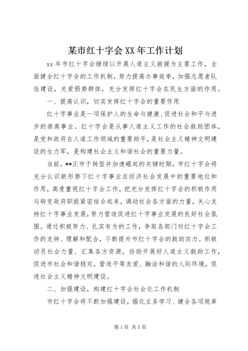 某市红十字会XX年工作计划 (2).docx