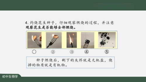 2.1.4  细胞的生活 课件（共26张PPT）