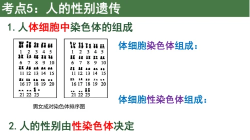 八下 第七单元复习课件(共58张PPT)