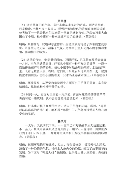 九上语文第17课《孤独之旅》精品实用高效教学设计
