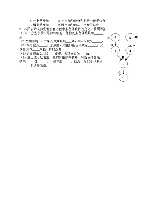 人类染色体与性别决定教案