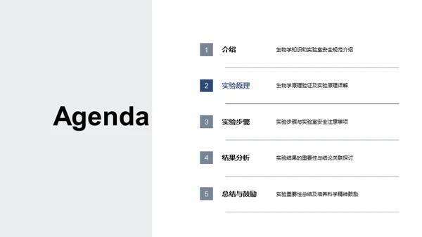 高中生物实验教学