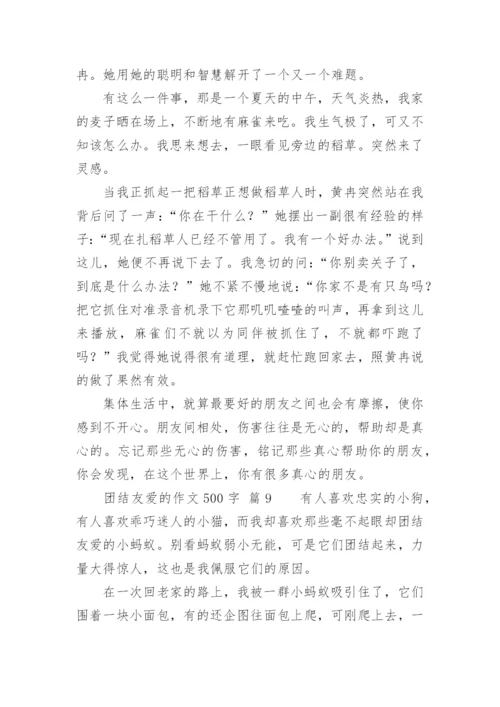 团结友爱的作文500字.docx