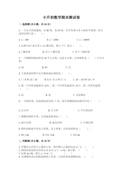 小升初数学期末测试卷审定版.docx