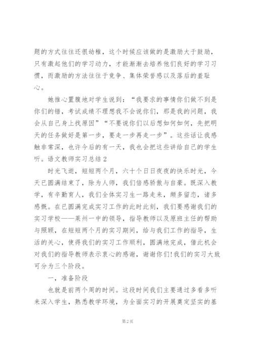语文教师实习总结集锦15篇.docx