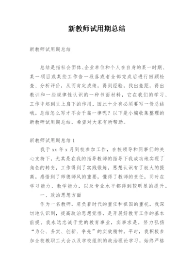 新教师试用期总结.docx