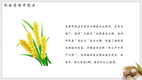节约粮食，世界粮食日通用PPT模板