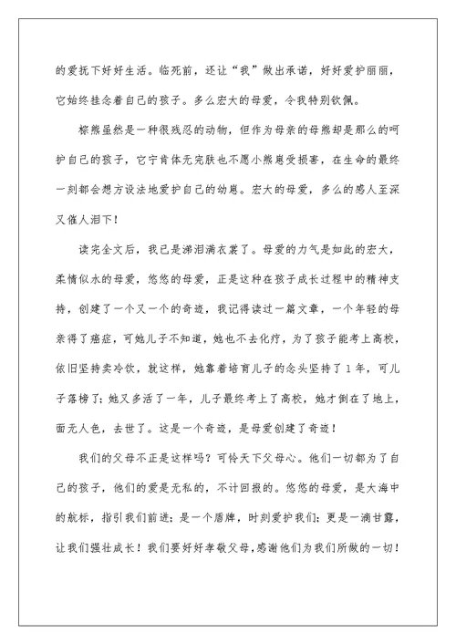棕熊的故事读书笔记例文