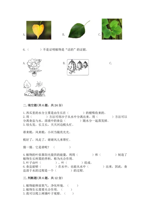 教科版科学一年级上册第一单元《植物》测试卷（b卷）word版.docx