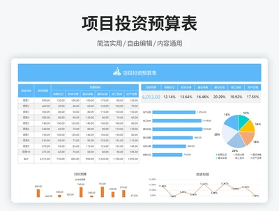 项目投资预算表