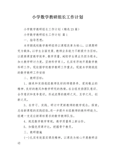 小学数学教研组长工作计划.docx