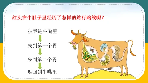 小学语文《在牛肚子里旅行》教育教学PPT课件