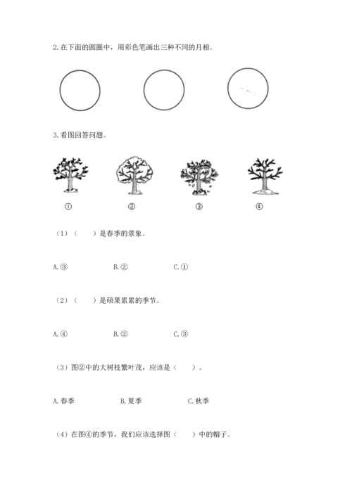 教科版二年级上册科学期末测试卷及1套参考答案.docx