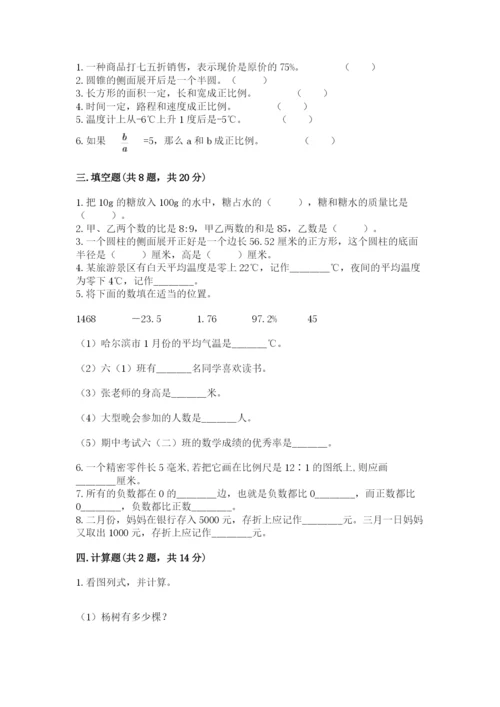 田阳县六年级下册数学期末测试卷精品有答案.docx